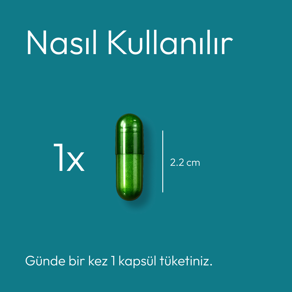 Burn & Boost — Nasıl Kullanılır