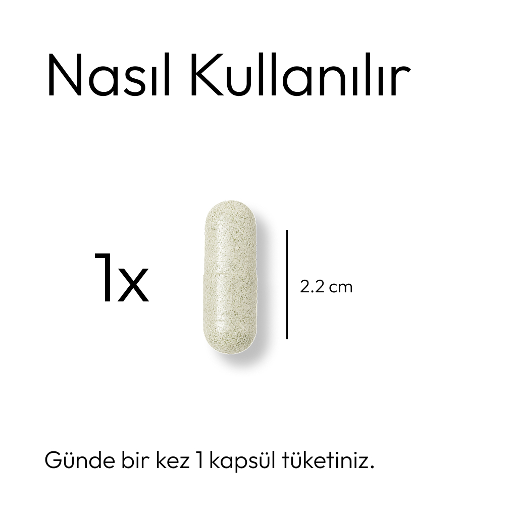 NADH — Nasıl Kullanılır