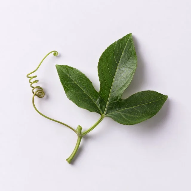 Passiflora Ekstresi — temsili hammadde görseli