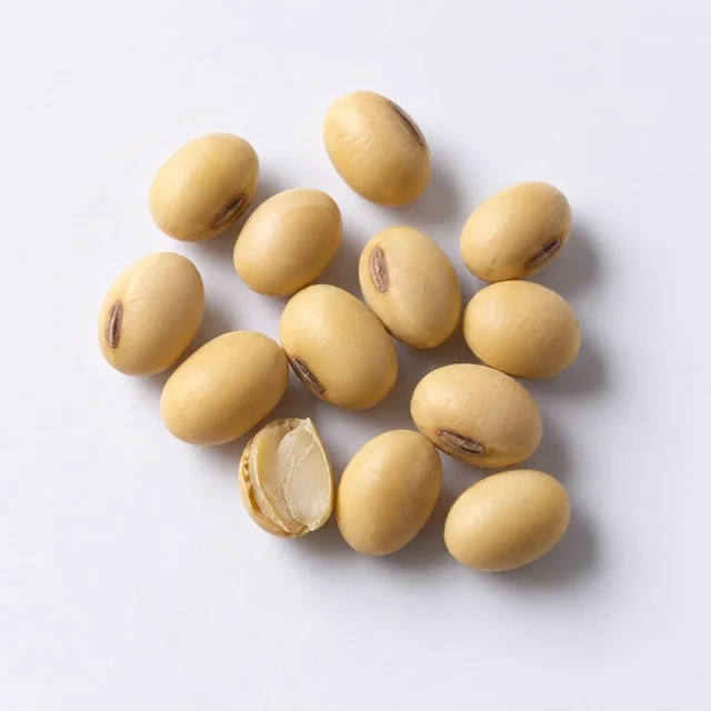 Soya İzoflavonları — temsili hammadde görseli