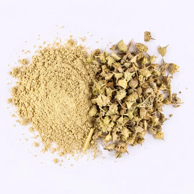 Tribulus Terrestris (Demir Dikeni Ekstresi) — temsili hammadde görseli